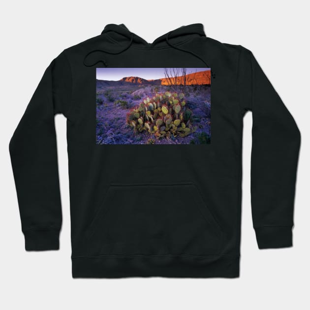 Opuntia In Chihuahuan Desert Landscape Big Bend National Park Hoodie by AinisticGina